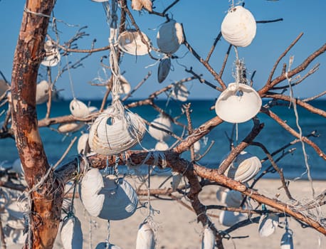 Handmade seashell decorations are hanging from the branches of a driftwood tree situated on a sandy beach. The ocean is visible in the background under a clear blue sky, providing a serene coastal scene.