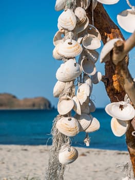 Handmade seashell decorations are hanging from the branches of a driftwood tree situated on a sandy beach. The ocean is visible in the background under a clear blue sky, providing a serene coastal scene.