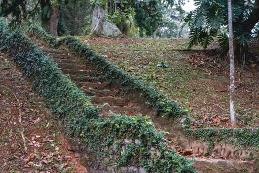 Old staircase at Yardim Botanic Garden at São Paulo, Brazil. May 13 2024.