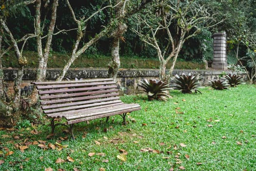 Jardim Botanic Garden. Beautiful park in São Paulo, Brazil.