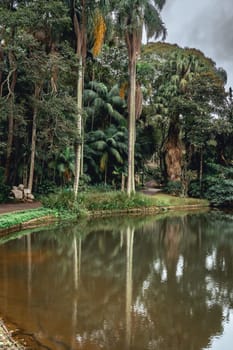 Jardim Botanic Garden. Beautiful park in São Paulo, Brazil.
