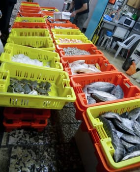 Fresh fish of various varieties sold at the market. Israel - August 20, 2023