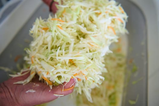 Close-up view from above of hands of a chef man mixing raw fresh chopped cabbage, seasoning and preparing healthy vegan salad