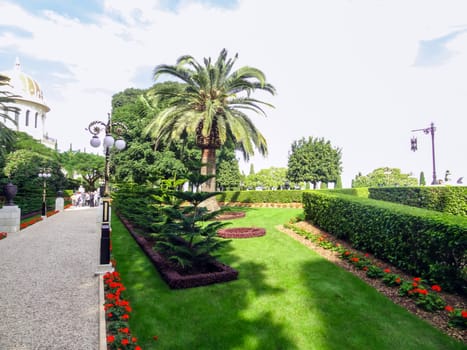 Path in the park with flowers and palm trees on a sunny summer day. High quality photo