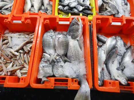 Fresh fish of various varieties sold at the market. High quality photo