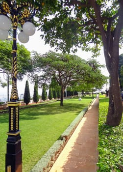 Path in the park with flowers and palm trees on a sunny summer day. High quality photo