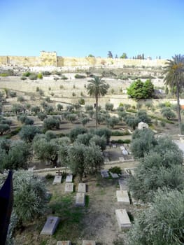Panoramic view of the old city of Jerusalem. High quality photo