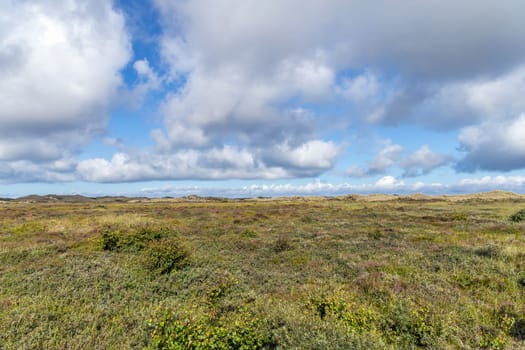 Natural landscape with sand dunes covered with bushes and grass.