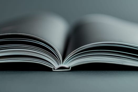 An open book resting on a plain grey background, showcasing its pages and cover.