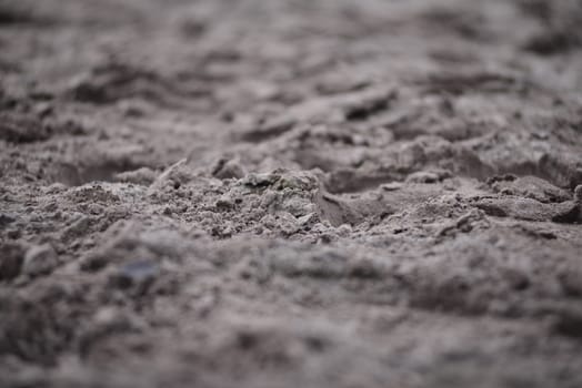 Sandy ground with various of sharpness as a close up