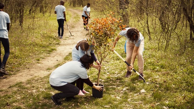 Climate activists planting new trees in a woodland ecosystem, digging holes and putting seedlings in the ground. Volunteers working on preserving nature and protecting the environment. Camera B.