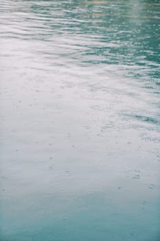 Raindrops leave circles on the surface of the lake. High quality photo