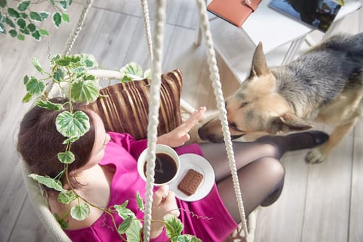 Woman Enjoying Coffee in Bright Room With Attentive German Shepherd. Happy woman in pink robe sits by plants, sharing a moment with her pet dog