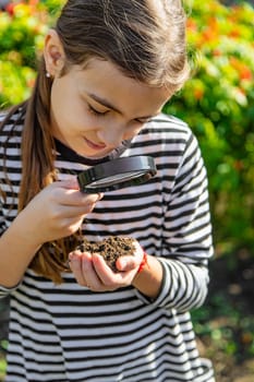 Children examine the soil with a magnifying glass. Selective focus. Kid.