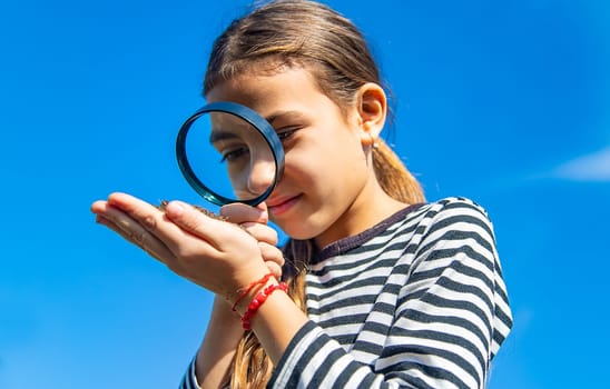 Children examine the soil with a magnifying glass. Selective focus. Kid.