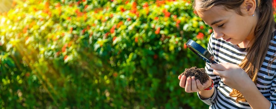 Children examine the soil with a magnifying glass. Selective focus. Kid.