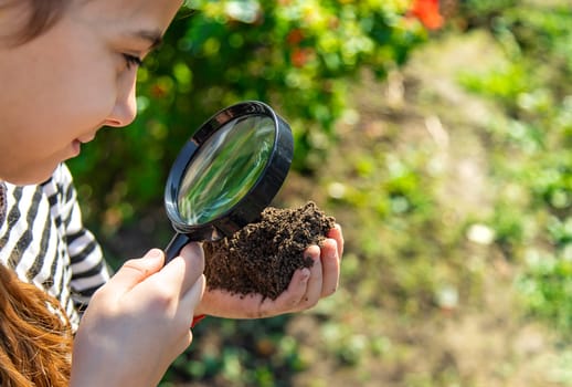 Children examine the soil with a magnifying glass. Selective focus. Kid.