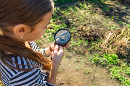 Children examine the soil with a magnifying glass. Selective focus. Kid.