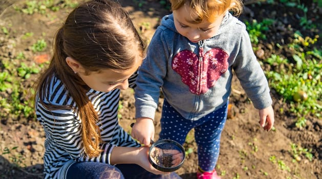 Children examine the soil with a magnifying glass. Selective focus. Kid.