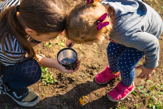 Children examine the soil with a magnifying glass. Selective focus. Kid.