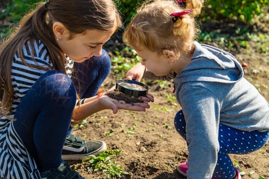 Children examine the soil with a magnifying glass. Selective focus. Kid.