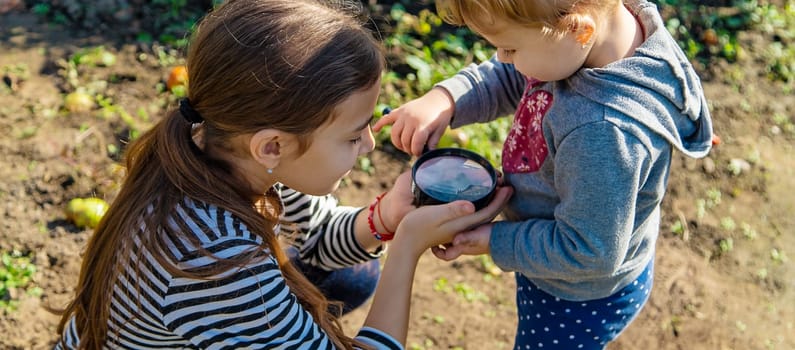 Children examine the soil with a magnifying glass. Selective focus. Kid.