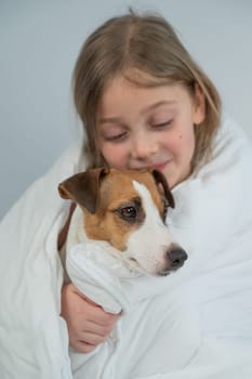 Little Caucasian girl hugging a Jack Russell terrier dog wrapped in a blanket. Vertical photo