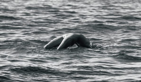 Young beautiful woman posing nude on the seaside enjoying the sea and nature