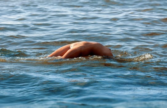 Young beautiful woman posing nude on the seaside enjoying the sea and nature