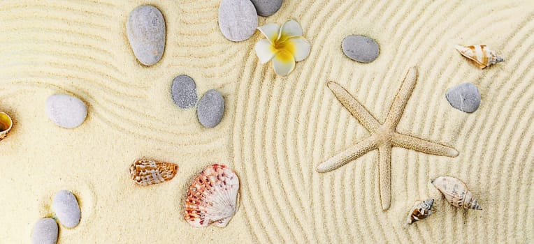 Background with seashells on the sand. Selective focus. Spa.