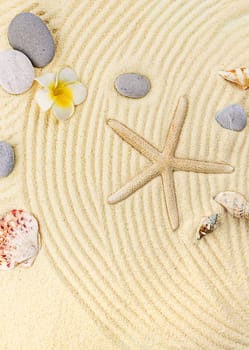 Background with seashells on the sand. Selective focus. Spa.