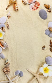 Background with seashells on the sand. Selective focus. Spa.