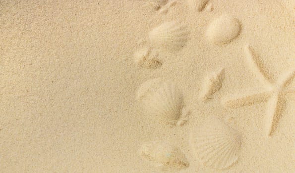 Background with seashells on the sand. Selective focus. Spa.