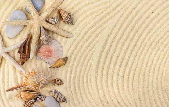 Background with seashells on the sand. Selective focus. Spa.