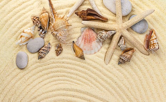 Background with seashells on the sand. Selective focus. Spa.