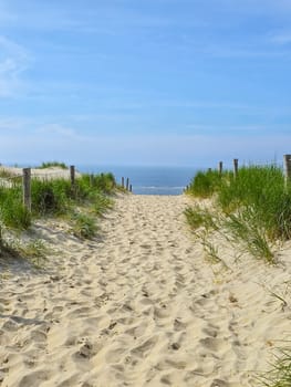 A serene path winds through lush green grass towards the sandy beach, inviting exploration and relaxation.