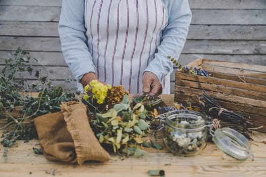 Grandmother makes tea with medicinal herbs. Selective focus. Nature.