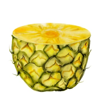 Pineapple watercolor hand drawing. Half of a tropical fruit on an isolated white background. For designing recipes, educational cards and tropical cocktail menus