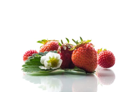red ripe strawberry spring on a white background .