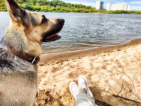 Human feet on sandy beach and big shepherd dog. The concept of tourism and recreation. Relaxing Feet on a Sandy Shoreline at Sunset