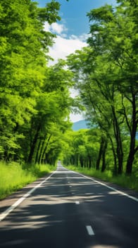 Photography: Road in the green forest, beautiful nature landscape background, travel concept