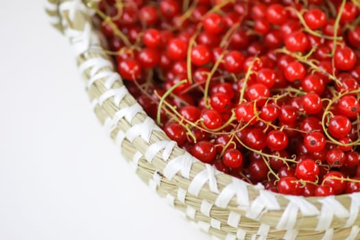 Basket with red currants in the basket. Fresh ripe red berries. Healthy food ingredients.