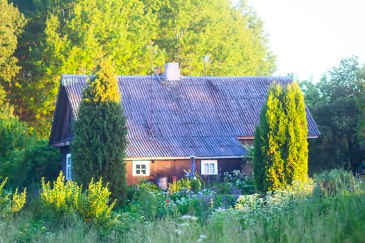 Landscape in the countryside in summertime.