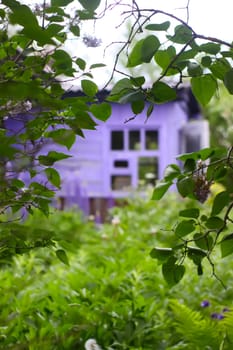Rural wooden house building and green plants in summer season.