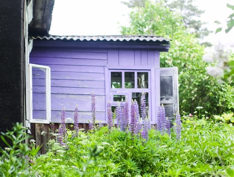 Rural wooden house building and green plants in summer season.