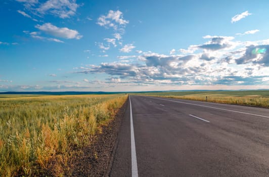 A long, empty country road extends into the horizon beneath a clear blue sky embellished with fluffy white clouds. Golden fields line both sides of the road, creating a serene and peaceful rural landscape.