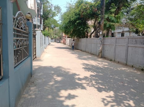 A walkway between buildings with trees. High quality photo