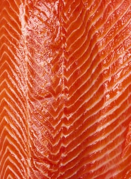 Texture of raw trout fillet, top view