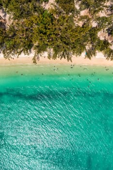 Mauritius beach aerial view of Mont Choisy beach in Grand Baie, Pereybere North. Mont Choisy, public beach in Mauritius island, Africa. Beautiful beach of Mont Choisy in Mauritius, drone aerial view.