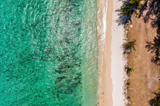 Beautiful Mauritius island with beach Flic en flac. Coral reef around tropical palm beach, Flic en Flac, Mauritius. Aerial view of a beautiful beach along the coast in Flic en Flac, Mauritius.